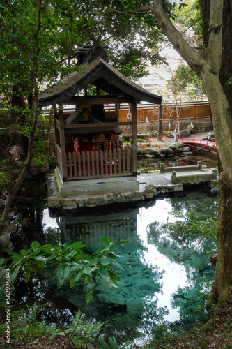 茨城県日立市 泉神社の湧水