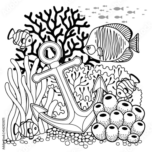 Vector coloring book page for adults. Black and white illustration of underwater life, sea creature, shell, algae and fish