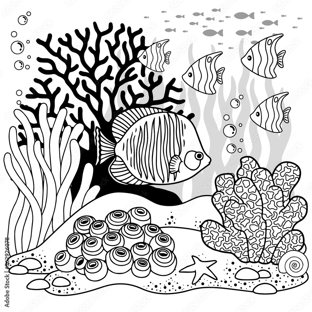 Vector coloring book page for adults. Black and white illustration of ...