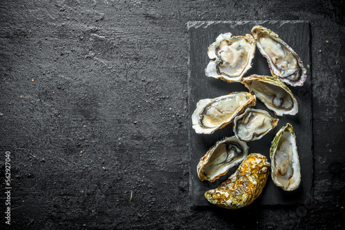 Fresh oysters ina stone Board.