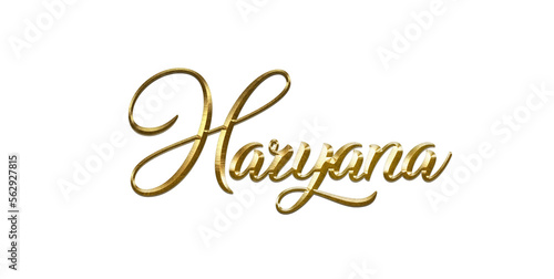 India City Name Gold Text for event backdrop photo