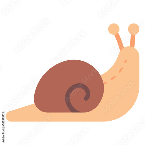 snail illustration