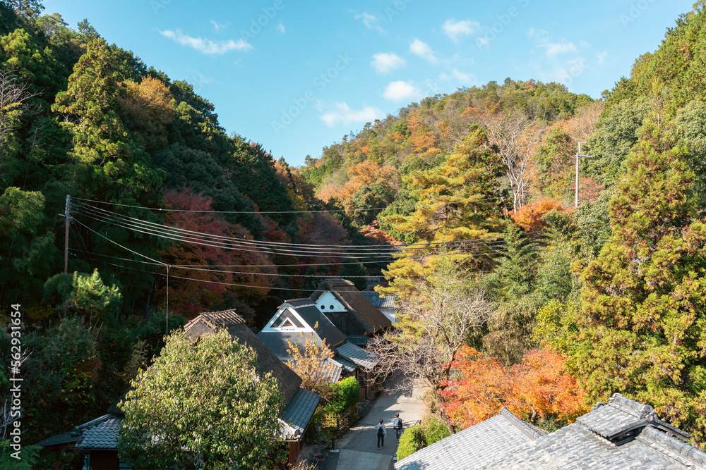 Saga Toriimoto traditional village at autumn in Kyoto, Japan