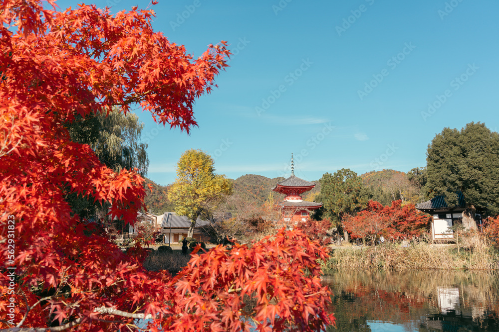 Daikaku-ji Temple and Osawa Pond at autumn in Kyoto, Japan
