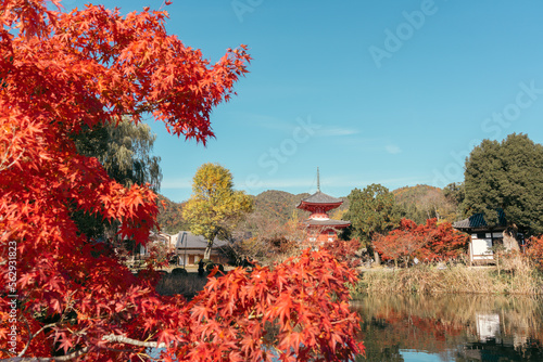 Obraz na płótnie Daikaku-ji Temple and Osawa Pond at autumn in Kyoto, Japan w salonie