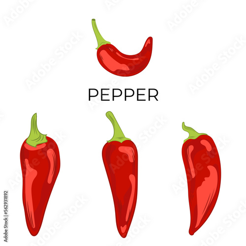 Vector illustration of chili pepper in the style of flat minimalism.