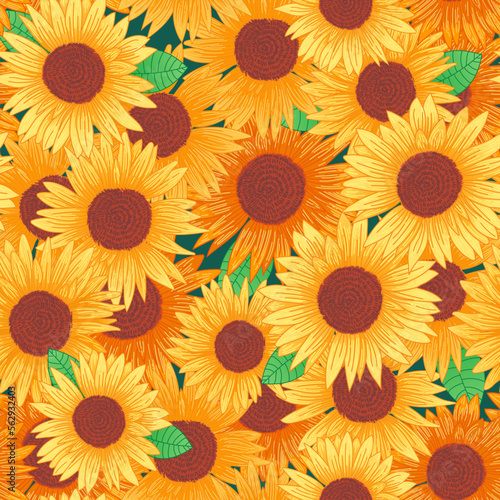 Sunflower field seamless vector pattern for textile fabric design. Vector illustration