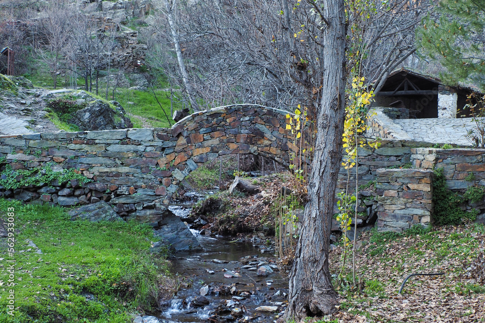 Pedestrian bridge over the Patones de Arriba stream