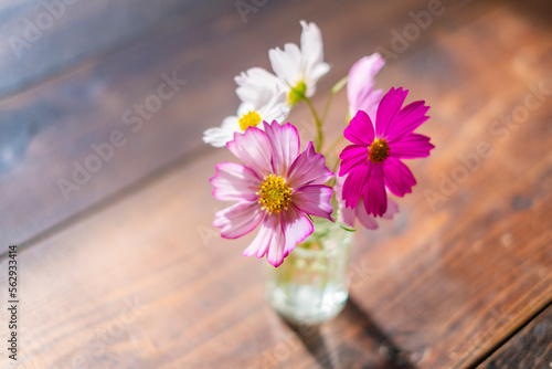 Wallpaper Mural コスモスを飾る Torontodigital.ca