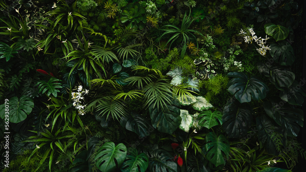 Creative nature green background, tropical leaf banner or floral jungle pattern concept. Creative nature green background, tropical leaf banner or floral jungle pattern concept.