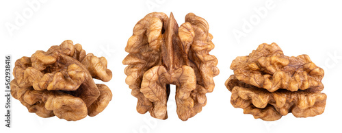 Tableau sur toile Levitation of walnut kernel isolated on transparent background.