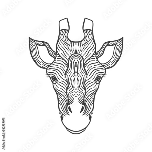 giraffe head line art illustration