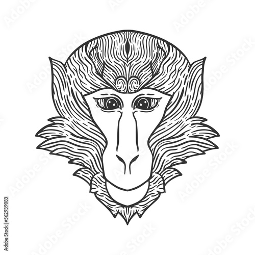 monkey head line art illustration