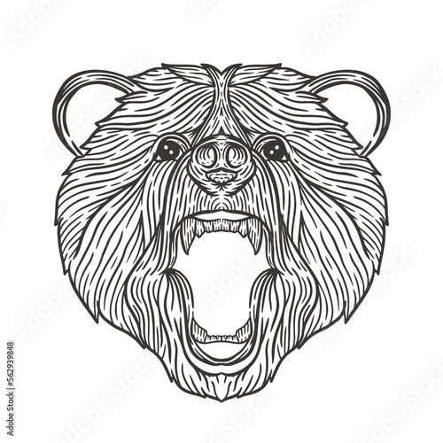 bear head line art illustration