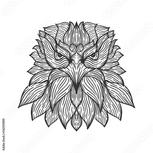 eagle head line art illustration