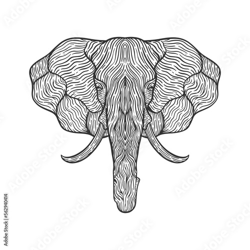 Elephant head line art illustration