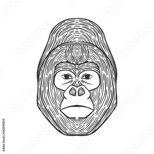 Gorilla head line art illustration