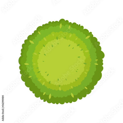 Top view of city round bush for scheme vector illustration. Aerial view of tree, plant, street or park element for cityscape plan or map. Landscape design, architecture concept