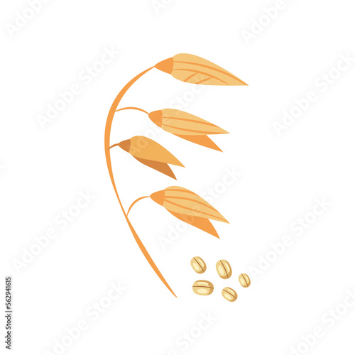 Oat ears or oats for breakfast cartoon illustration. Oat flakes. Food, grain, healthy lifestyle, nourishment concept