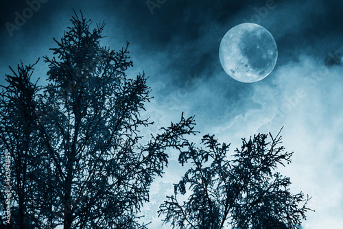 A large full moon over the trees at night.
