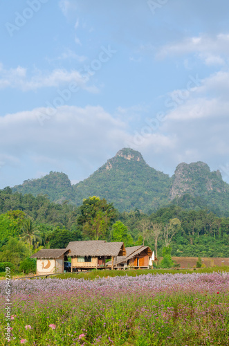 Peaceful hut among garden with mountains view in Chiang Mai, Thailand