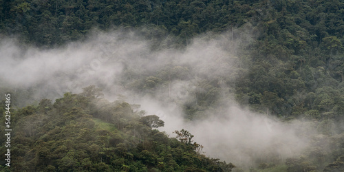 Cloud forest and rainforest panorama, Mindo, Ecuador.