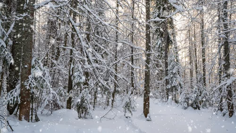 Bright sunny landscape with snow falling snow and a small house in the forest, cinemagraph, video loop Bright sunny landscape with snow falling snow and a small house in the forest, cinemagraph, video loop