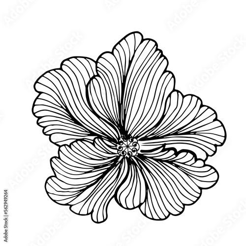 Flower, bud. Contour hand drawing. For your design