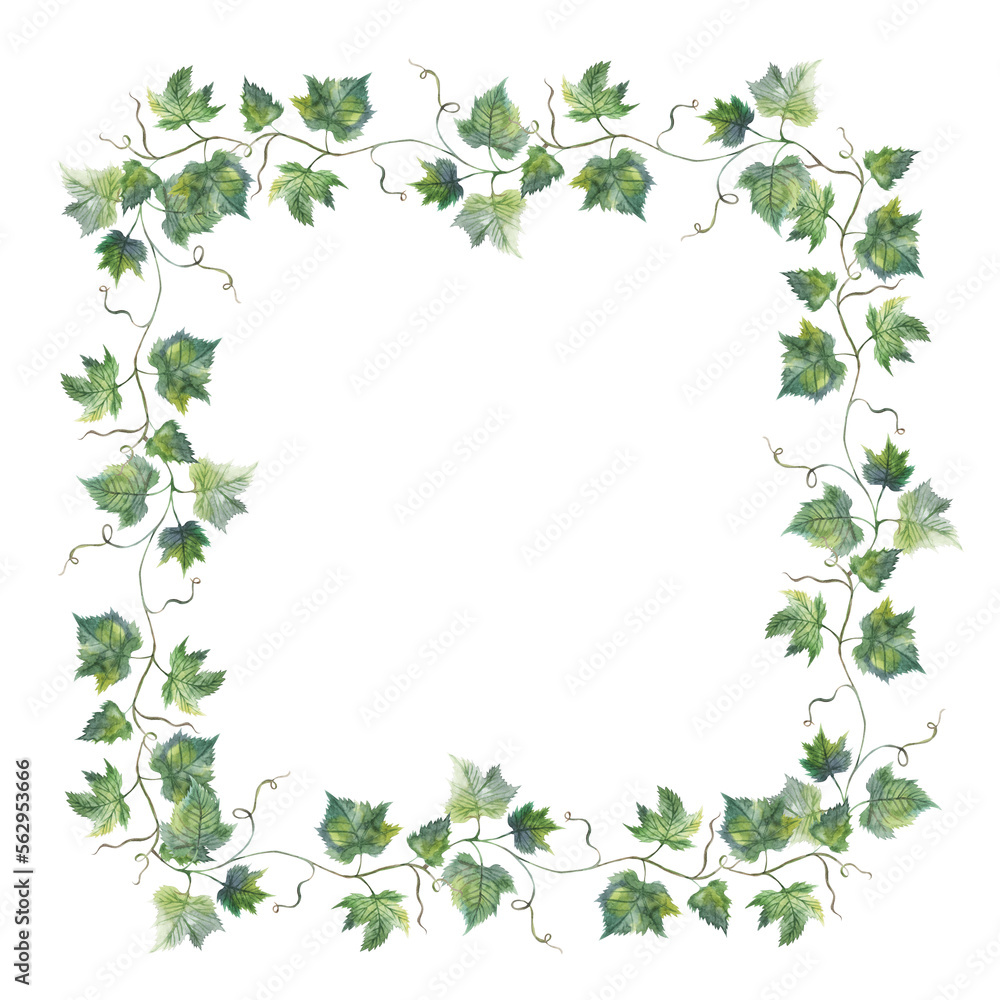 Naklejka premium Grapevine leaf grapes wreath square watercolor illustration hand painted