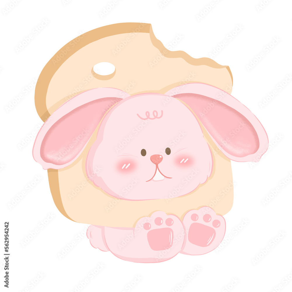 Pinky Rabbit Pinky Rabbit