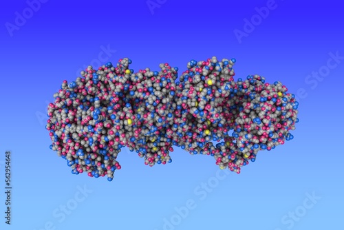 Influenza A virus H7N9 polymerase apo-protein dimer complex. Space-filling molecular model. Rendering based on protein data bank entry 7zpm. Scientific background. 3d illustration