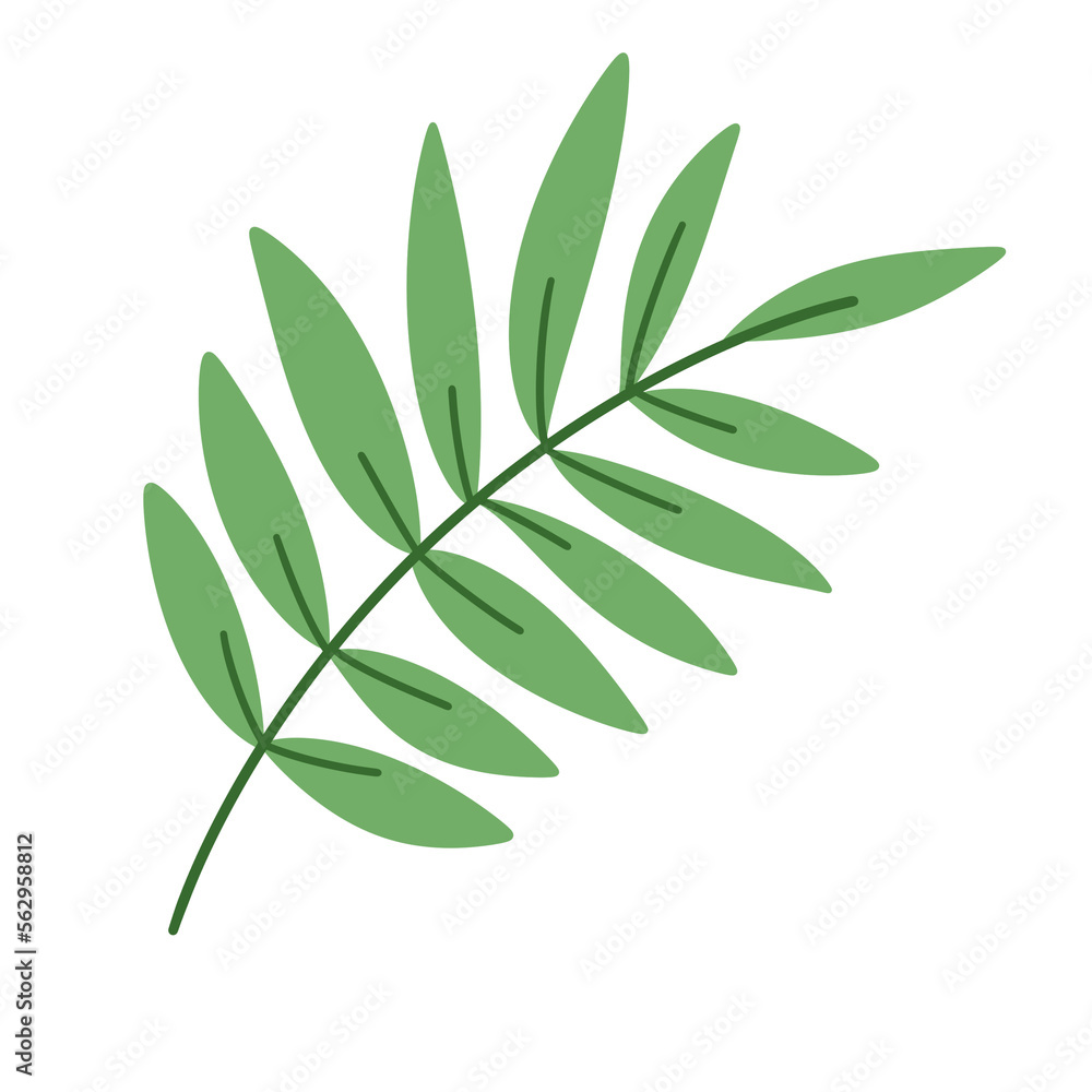 Cute palm leaf illustration Cute palm leaf illustration