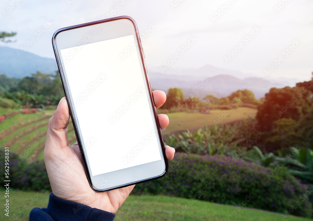 Young Woman using mobile smart phone white blank screen on national park viewpoint background in Northern Thailand