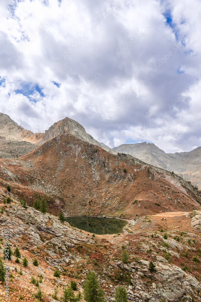 Lake Loie (Lago di Loie) surrounded by alpine rocks with autumn withered yellow grass and dwarf pines under white clouds in Parco Nazionale Gran Paradiso, Aosta Valley, Italy (vertical shot)