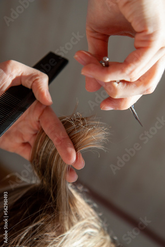Hairdresser or hairstylist cut strand of hair. Cutting technique illustration. Image with selective focus on hair.