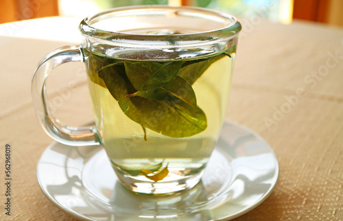 Cup of Hot Coca-Leaf Tea for Preventing Altitude Sickness, Peru, South America