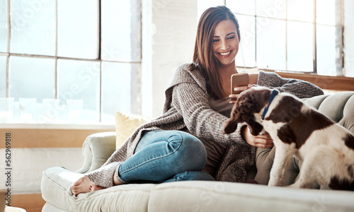 Woman with smartphone, relax with puppy and content at home, happy together and care for pet in living room. Happy woman with dog, scroll social media and love for animals with smile and happiness