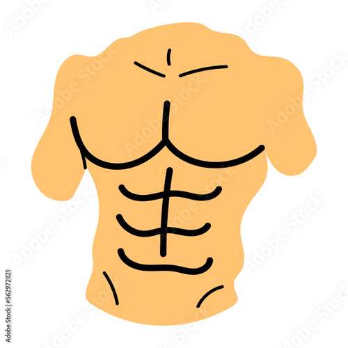 Body 