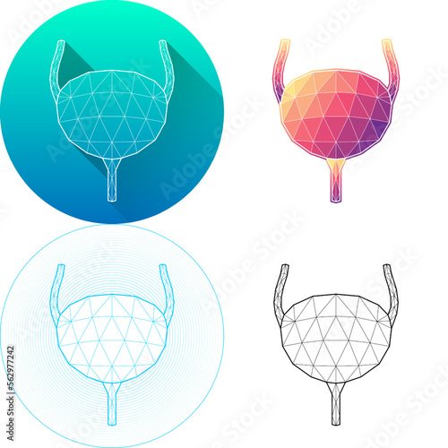 Set of Human Bladder Urinary System Medical Human Organ Logo Icon Minimalistic Triangulated Polygonal Low Poly, Line Art Isolated on White Background