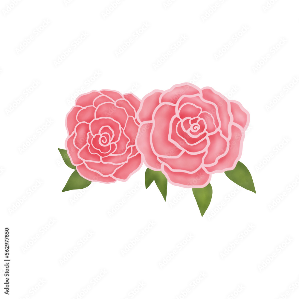 Fototapeta premium Pink Rose. Valentine Symbols. Watercolor Flower. 