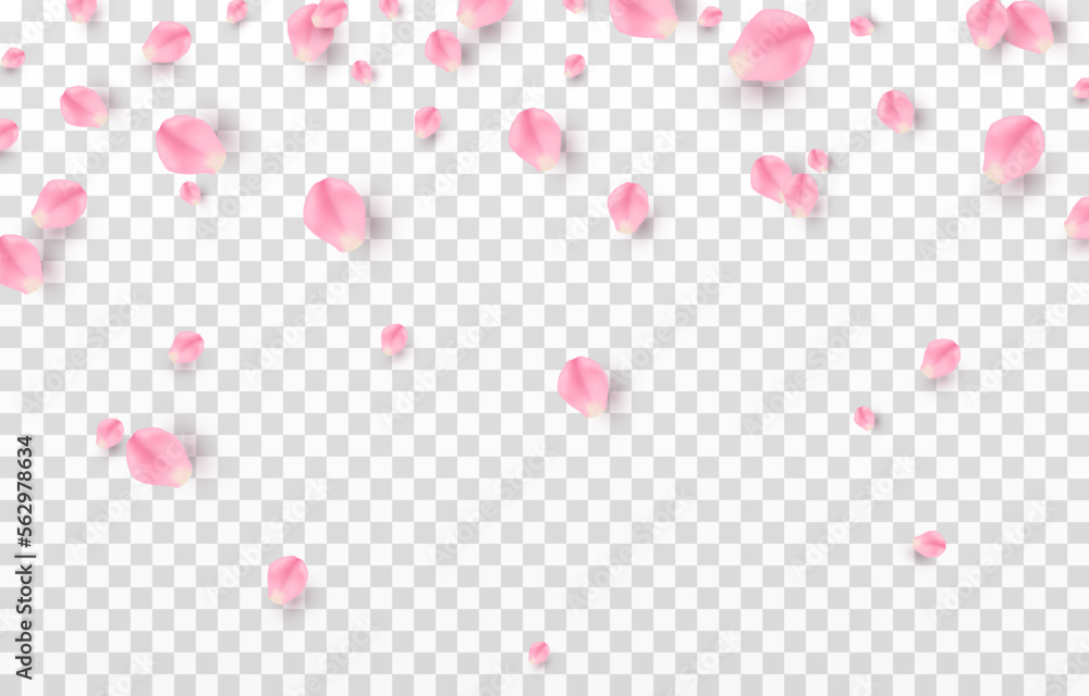 Vector falling rose petals png. Falling sakura petals, roses png. Pink petals png. Petals for Valentine's Day, Mother's Day, March 8. - obrazy, fototapety, plakaty 
