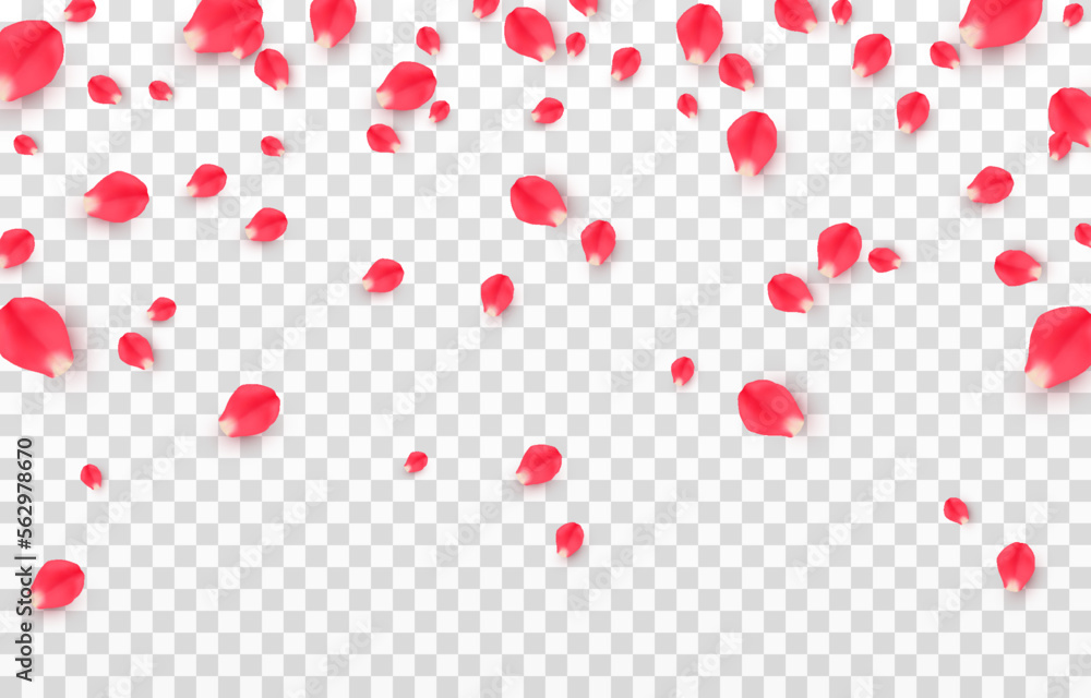 Vector falling rose petals png. Falling rose petals png. Red petals png. Falling petals for Valentine's Day, Mother's Day, March 8.