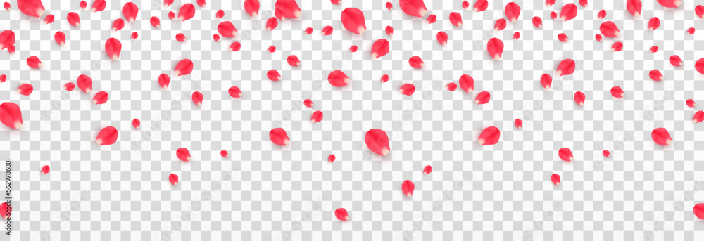 Vector falling rose petals png. Falling rose petals png. Red petals png. Falling petals for Valentine's Day, Mother's Day, March 8.