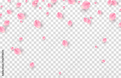 Vector falling rose petals png. Falling sakura petals, roses png. Pink petals png. Petals for Valentine's Day, Mother's Day, March 8.