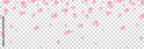 Vector falling rose petals png. Falling sakura petals, roses png. Pink petals png. Petals for Valentine's Day, Mother's Day, March 8.