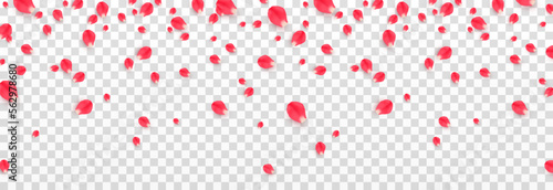 Vector falling rose petals png. Falling rose petals png. Red petals png. Falling petals for Valentine's Day, Mother's Day, March 8.