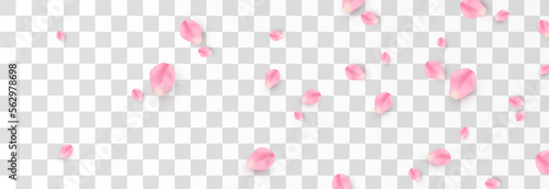 Vector falling rose petals png. Falling sakura petals, roses png. Pink petals png. Petals for Valentine's Day, Mother's Day, March 8.