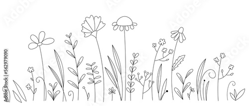 Vector linear floral hand drawn field. Beautiful floral background for postcards, congratulations, invitations. Gentle, spring meadow.