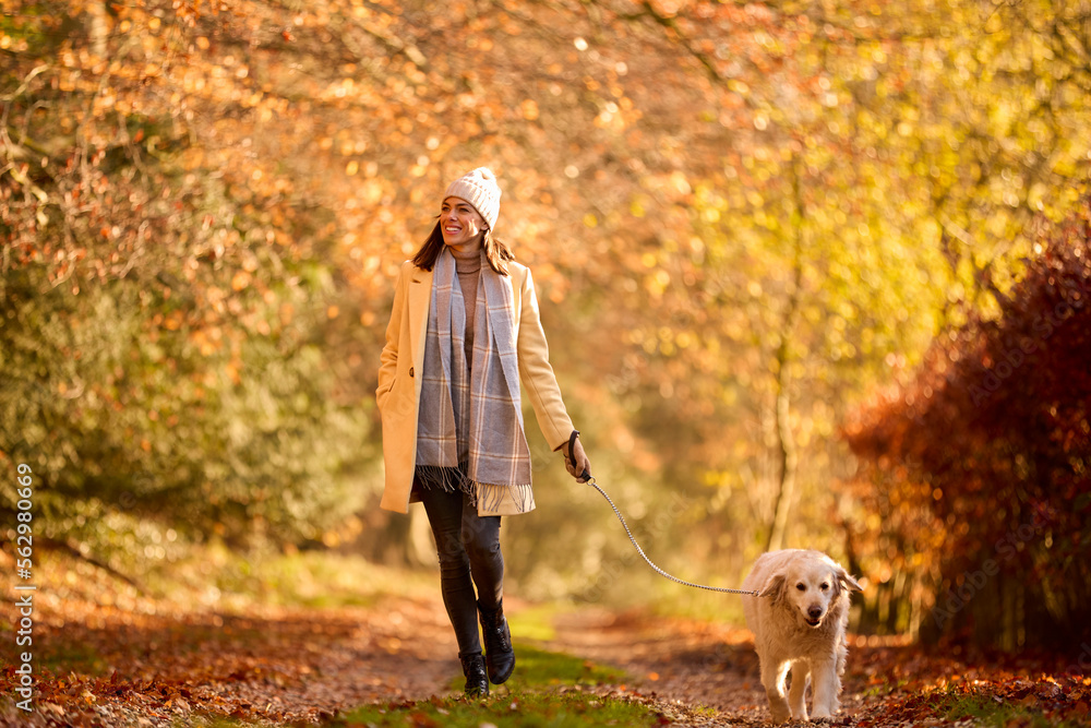Fototapeta premium Woman Wearing Hat And Scarf With Pet Golden Retriever Dog On Walk Along Track In Autumn Countryside