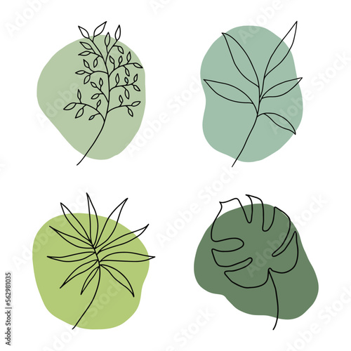 set of vector lineart flat green plants, leaves isolated on white background